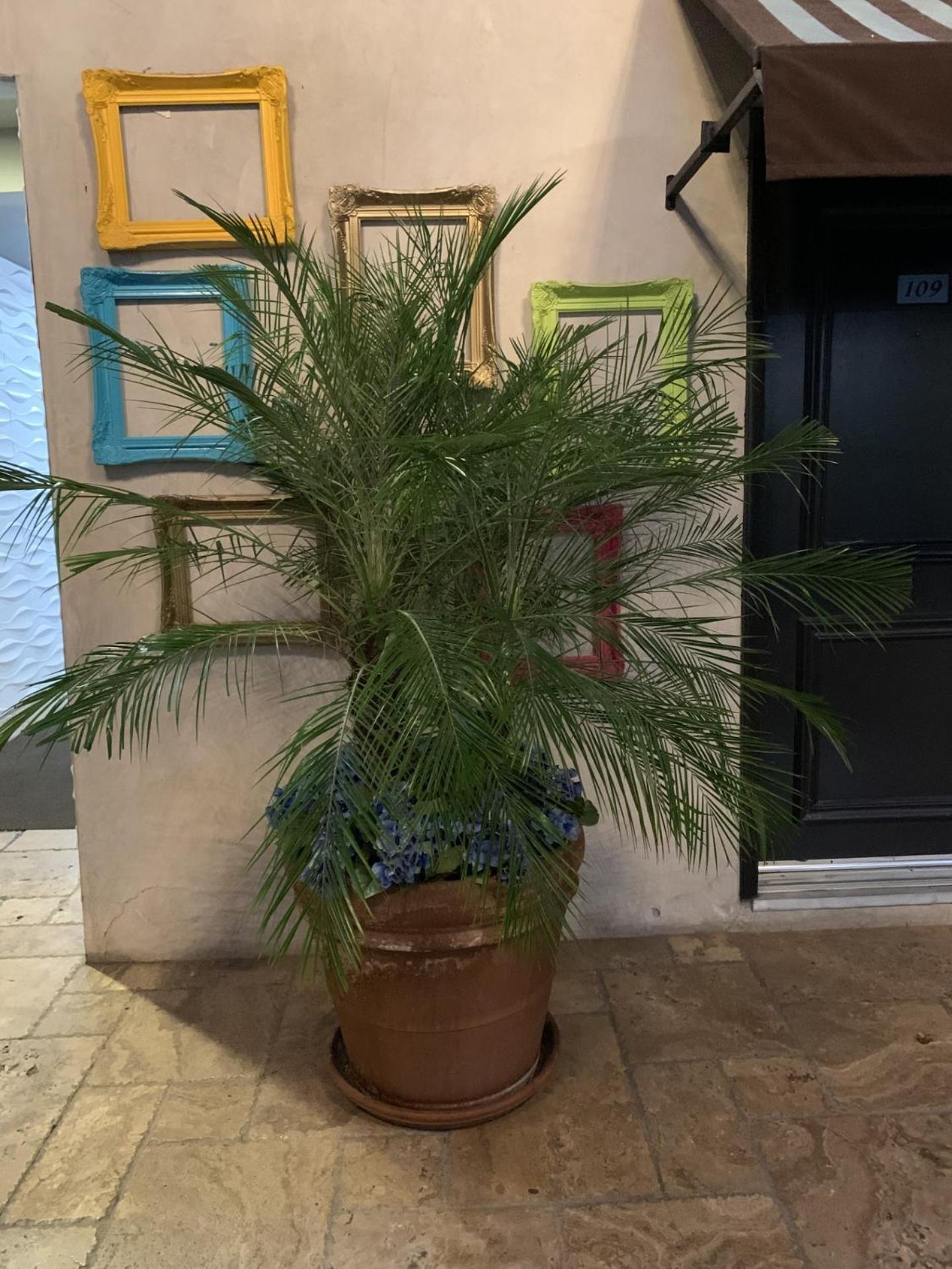 לוס אנג'לס L.A. Sky Boutique Hotel מראה חיצוני תמונה